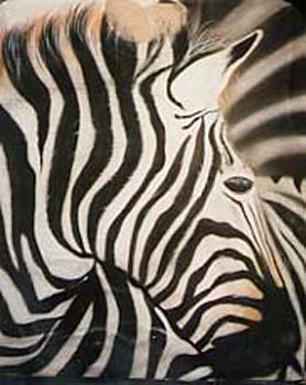 zebra-te