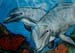 dolphin2