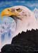 eagleill